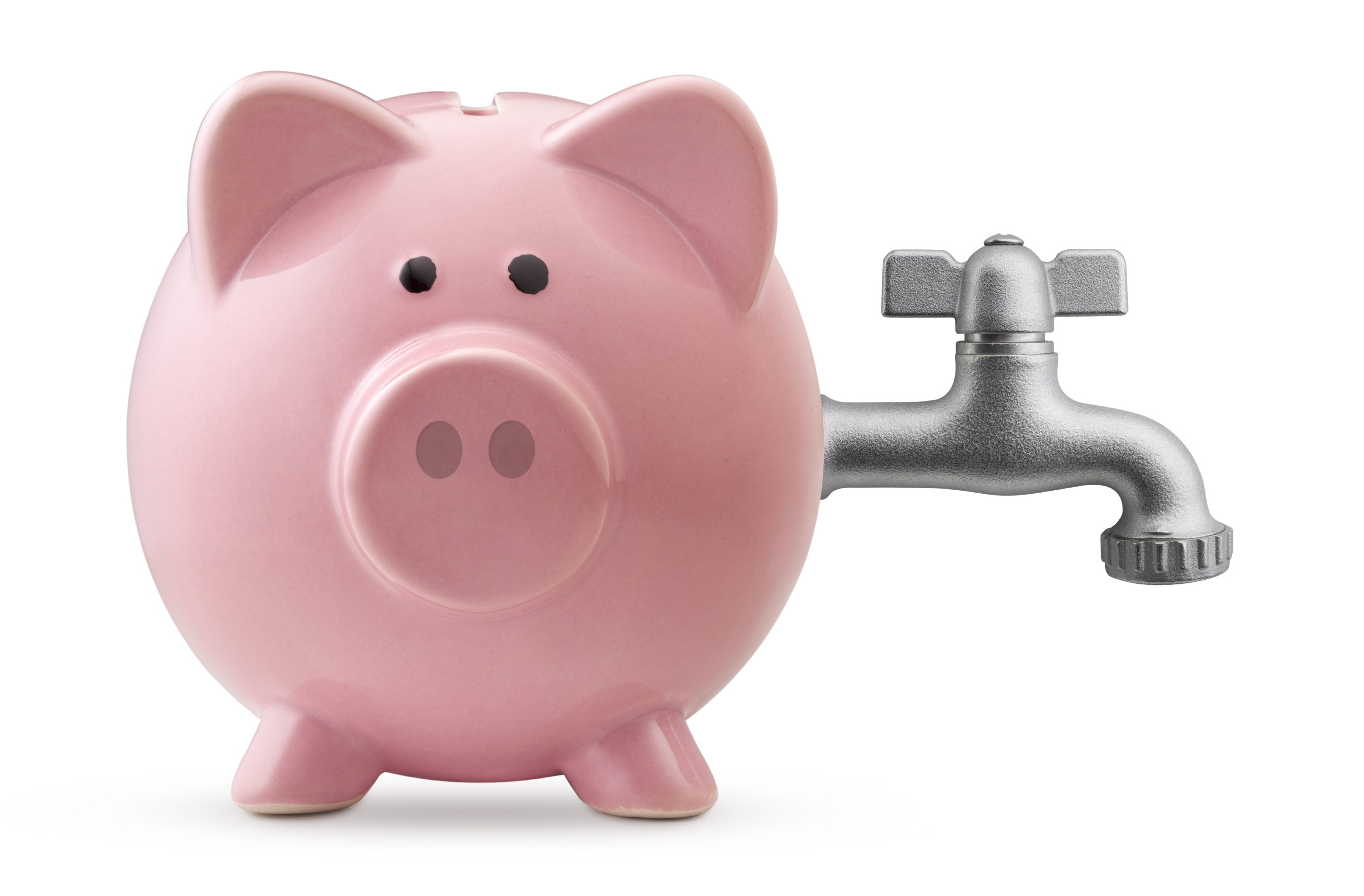 Piggy Bank